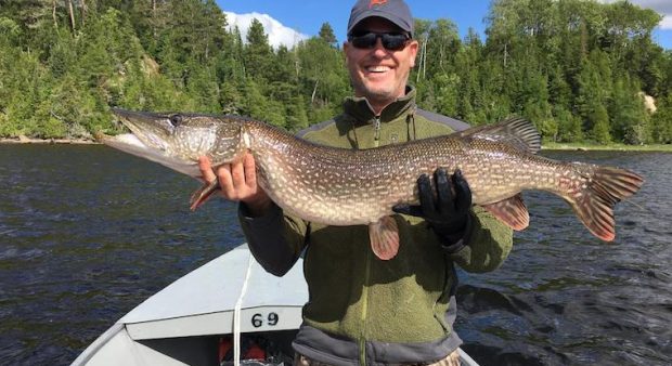 Man holds pike