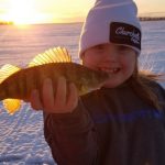 Stacey McBride submitted this photo of Berkley Damphouse grasping a perch he caught from Mitchell's Bay on Lake St. Clair.