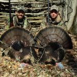 Zach Wall of Kincardine and his father, Todd Wall, doubled-down on two toms during their spring turkey hunt.