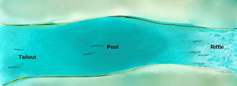 Tailout pool riffle water diagram 