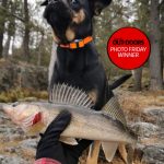 Photo Friday winner Nathan Phillips of Nairn Centre submitted this photo of his three-year-old rescue dog, Zoey, who loves fishing, but isn’t really that fond of fish. Can you tell?