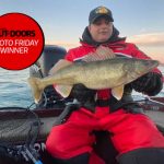 Photo Friday winner Tony Scavo of Niagara Falls caught this walleye on the Niagara River at the end of February.