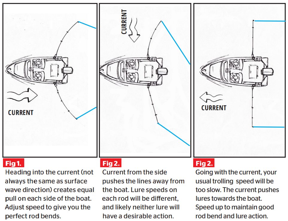 No Boat: No Problem – 5 Tips for Bank Fishing Success – TLRA