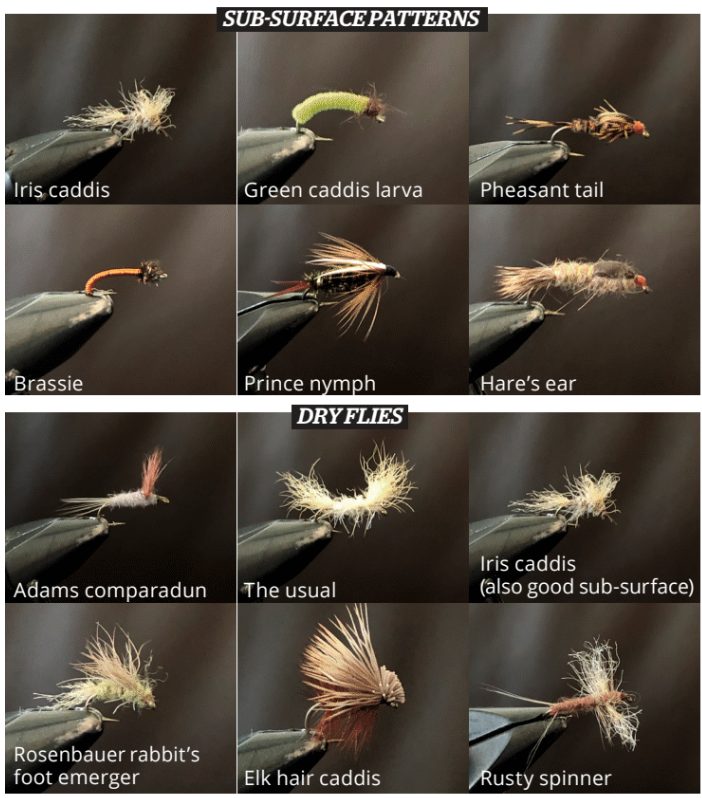 Deschutes Flies / Hatch Chart