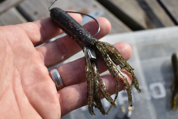 A reverse-fall Texas tube in the hands of an angler. The tube is rigged Texas-style, with an offset hook and a small weight added to the bend of the hook.