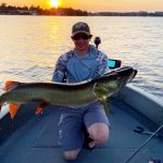 On the final hour of musky opener in the Kawarthas, Andrew Keating of Elora caught this muskie that struck the bait just beside the boat.