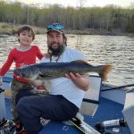 While fishing with his son Taimen during walleye opener, Tyson Kan of Red Lake landed this 28-inch walleye. Following the advice from the younger generation, the large fish was safely released back into the lake.