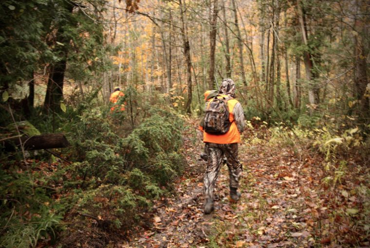 Hunter wearing camouflage outfit and backpack as well as blaze orange vest walks through heavily wooded area with other hunters.