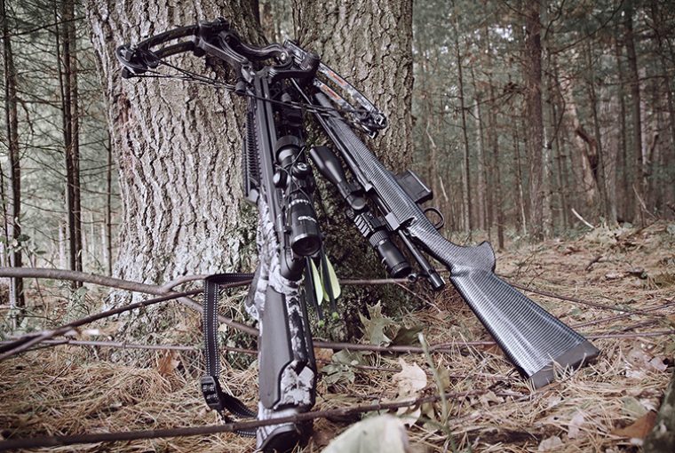 Black Crossbow and black .22 rifle lay up against a tree in a heavily wooded area.