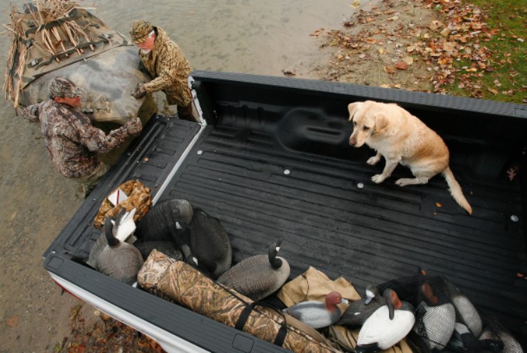 Hunters dressed in camouflage load up the bed of a truck with hunting gear as a yellow labrador retriever sits in the back as well.