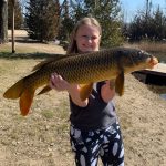 Jeff Roehrich of Harrow submitted this photo of his 10-year-old daughter Annabelle who caught this huge carp in Essex County this spring. She baited the hook, cast the line, and reeled the fish in all by herself.