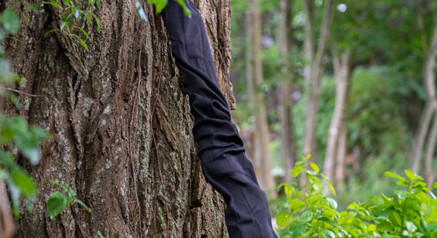 firearm encased in a gun sock, leaning against a tree