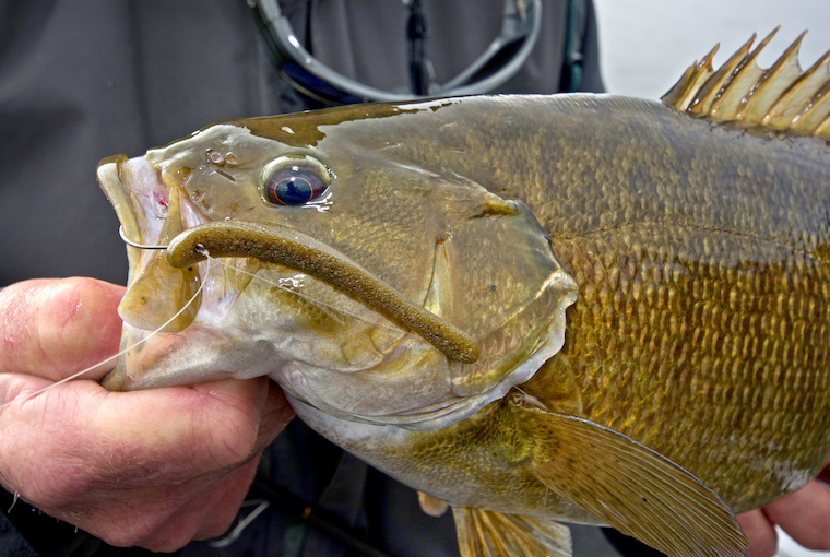 When summer smallmouth just won't bite, try this new secret weapon •  Outdoor Canada