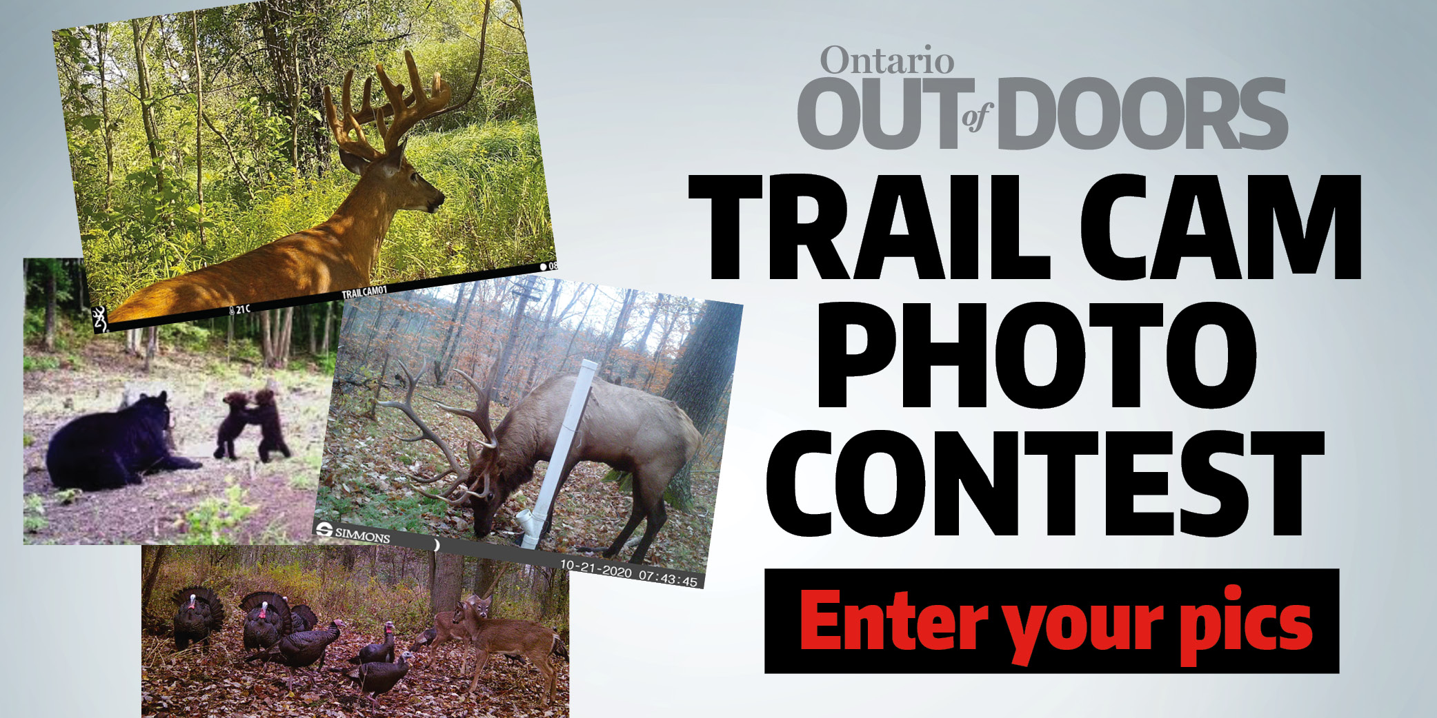 Trail Cam Photo Contest 2021