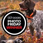 Photo Friday winner Autumn Purdy of Bobcaygeon recently went upland hunting in Dryden with 10-month-old Splinter, a German shorthaired pointer. 