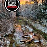 Photo Friday winner Matt Higgins of Mount Forest harvested his first deer (after many years of trying) using his dad’s 30-30 Winchester. Thanks to Dan, Mike, Nick, and Greg for helping him out.