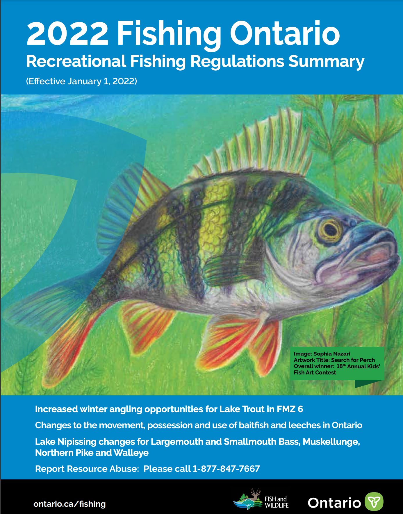 Ontario Fishing Regulations 2024 Pdf Elfie Helaina