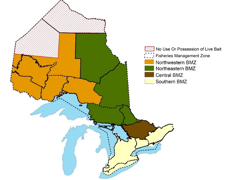 Smallmouth Bass Season Opens In Northern Zone June 19