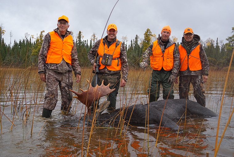 four men in blaze orange over a fallen moose