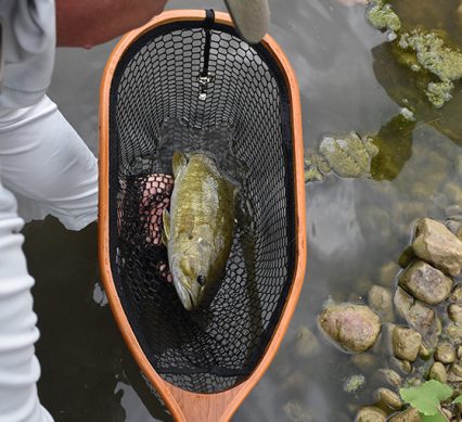 wooden net with a fish