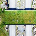 an overpass above a highway for animals to safely cross