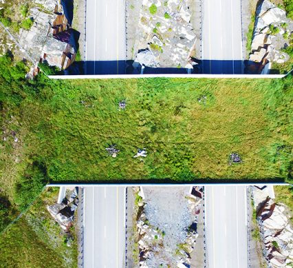 an overpass above a highway for animals to safely cross