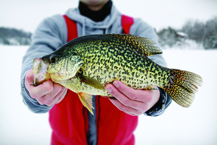 Observing winter crappies from pothole lakes - Ontario OUT of DOORS