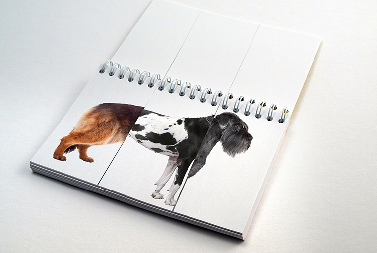 a flip book of dog types