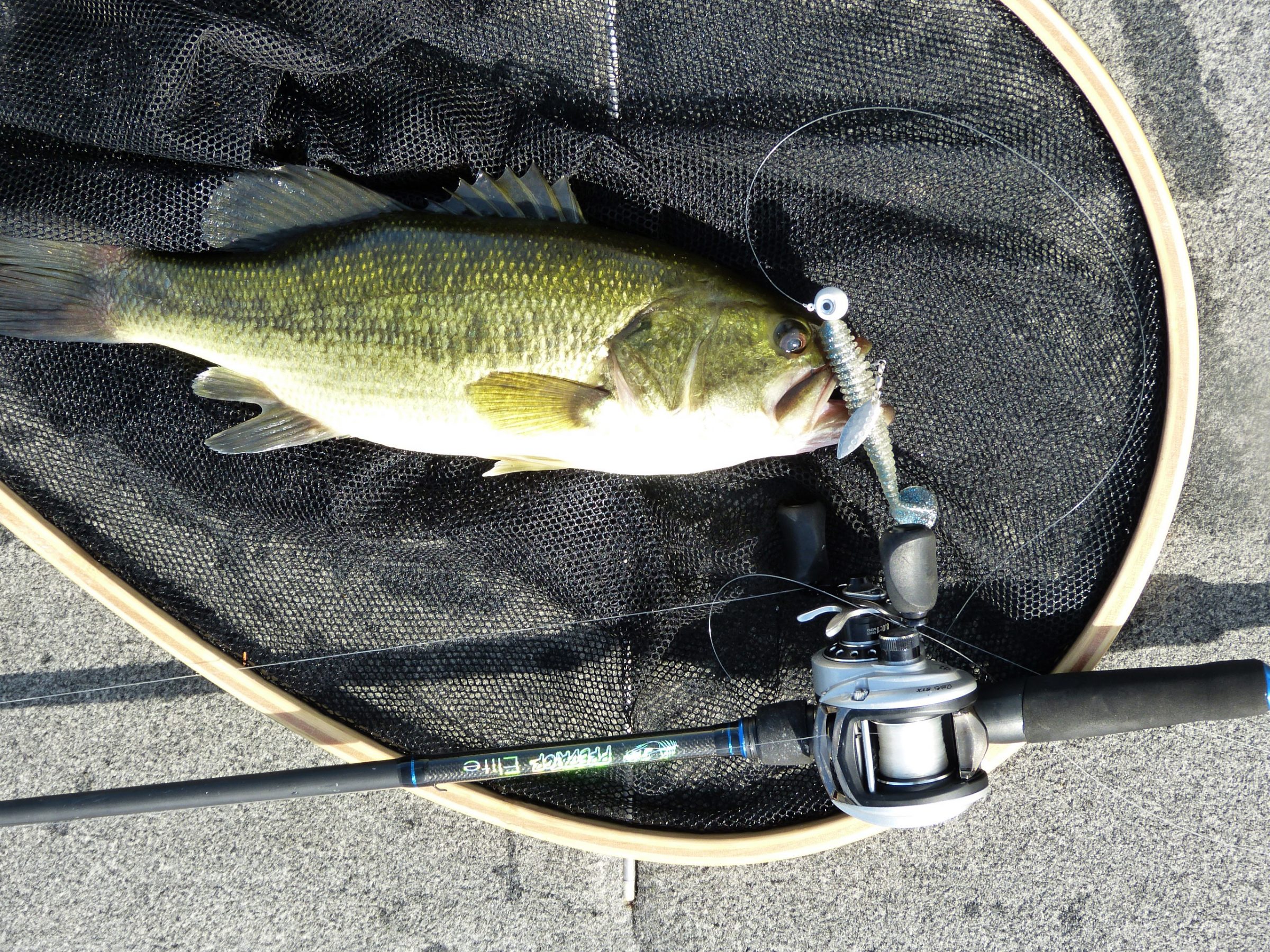 5 Paddle Tail Grub and Weighted Hooks Combo