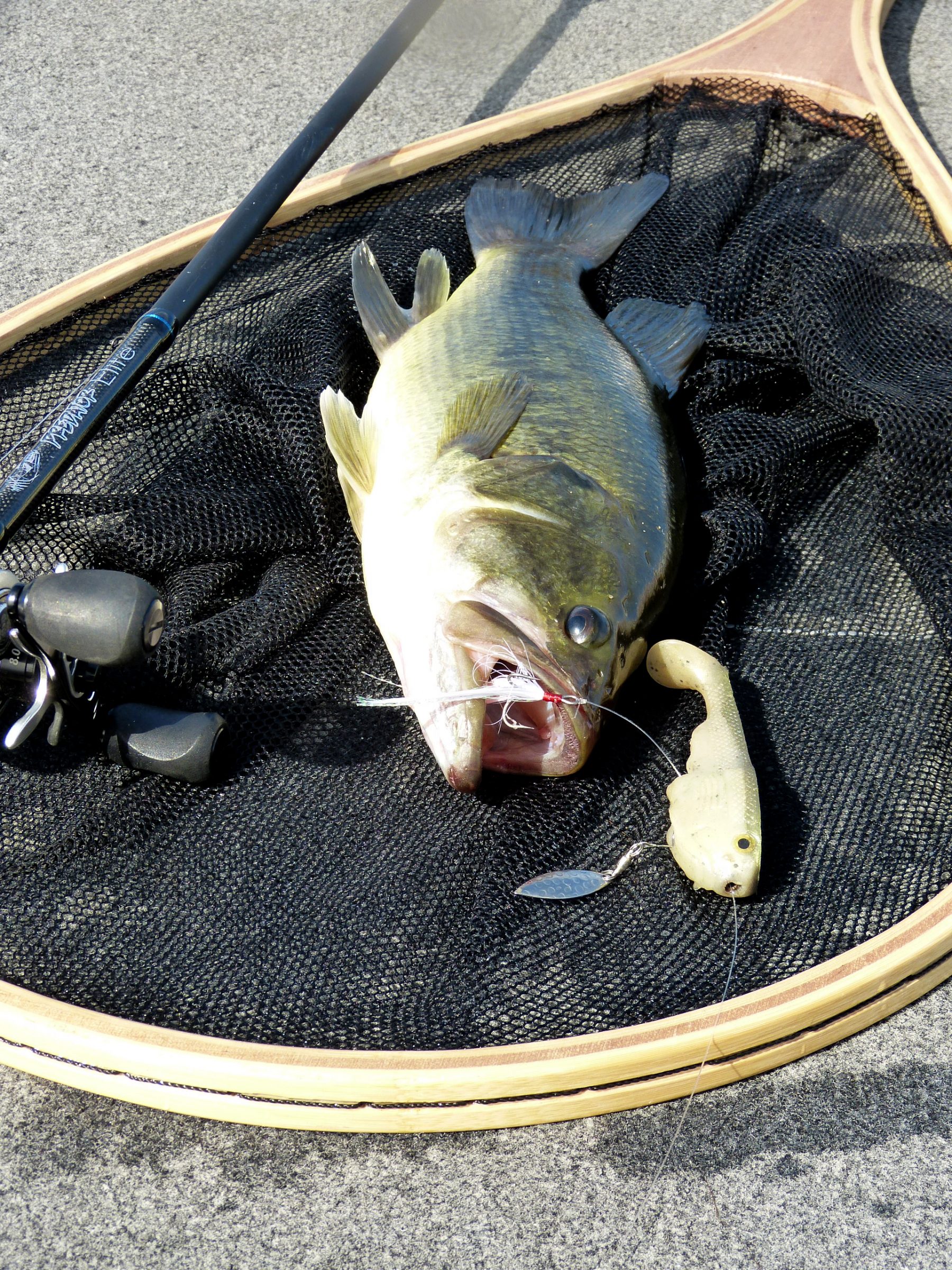 Line-through baits make rigging a smaller hook easier