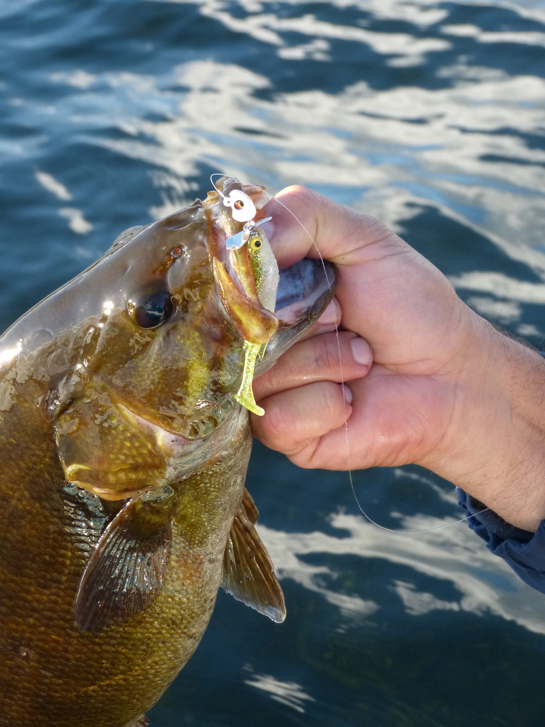 Zaldain swaps the ball jig head with a Megabass Okashira Screwhead for some extra flash