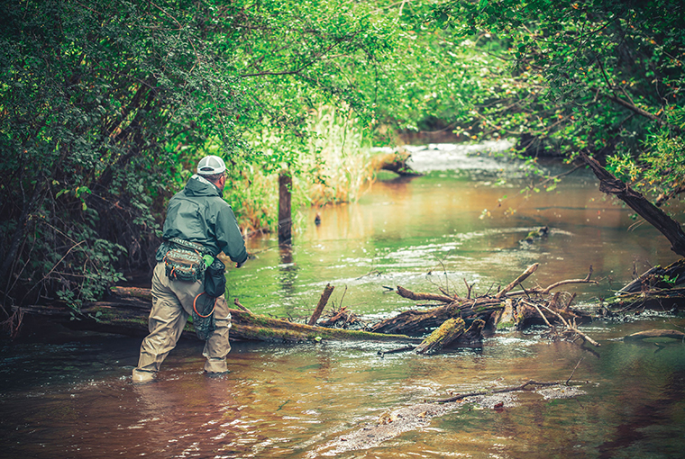 an angler peers into the river