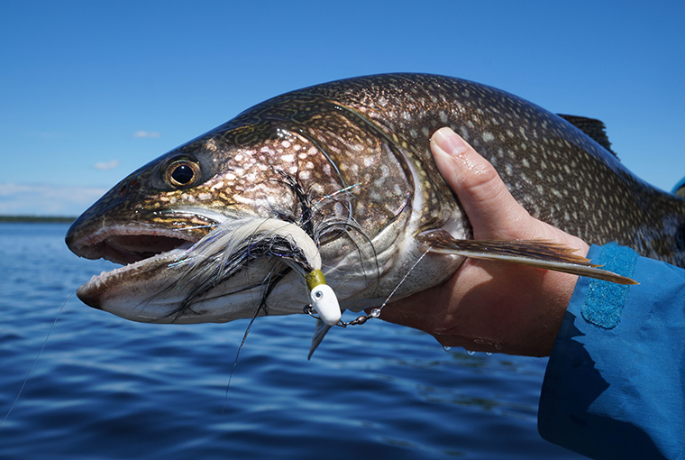 Jigging for open-water lake trout - Ontario OUT of DOORS