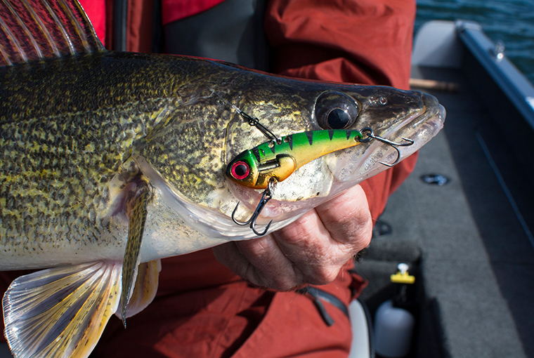 Copper Shad fishing spoon for trolling walleye