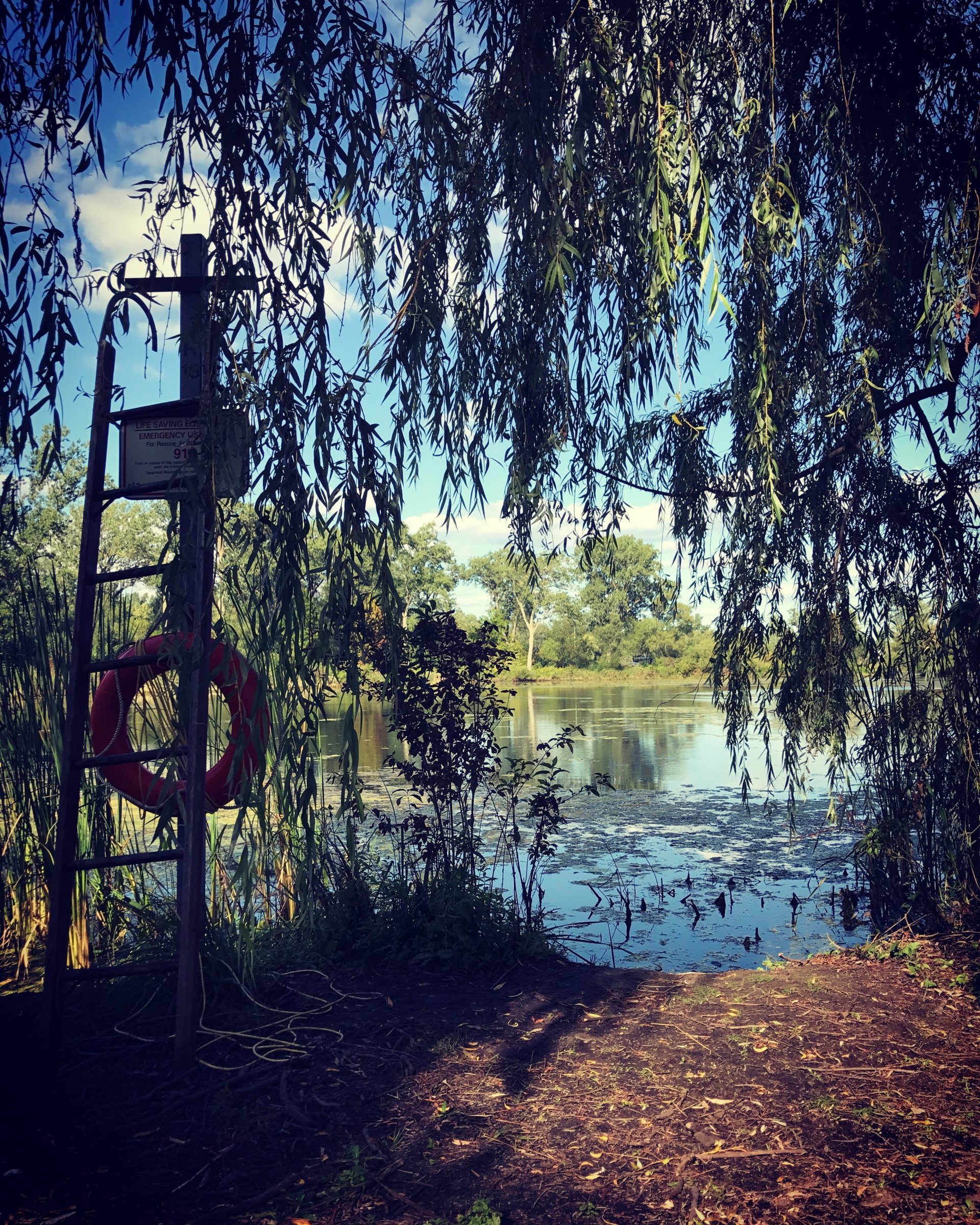 Toronto Island