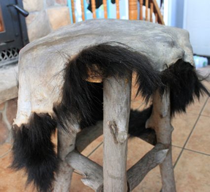 Bear Hide