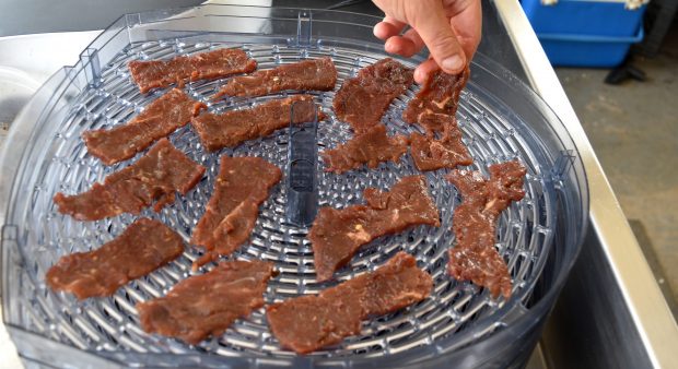 Meat Dehydrator