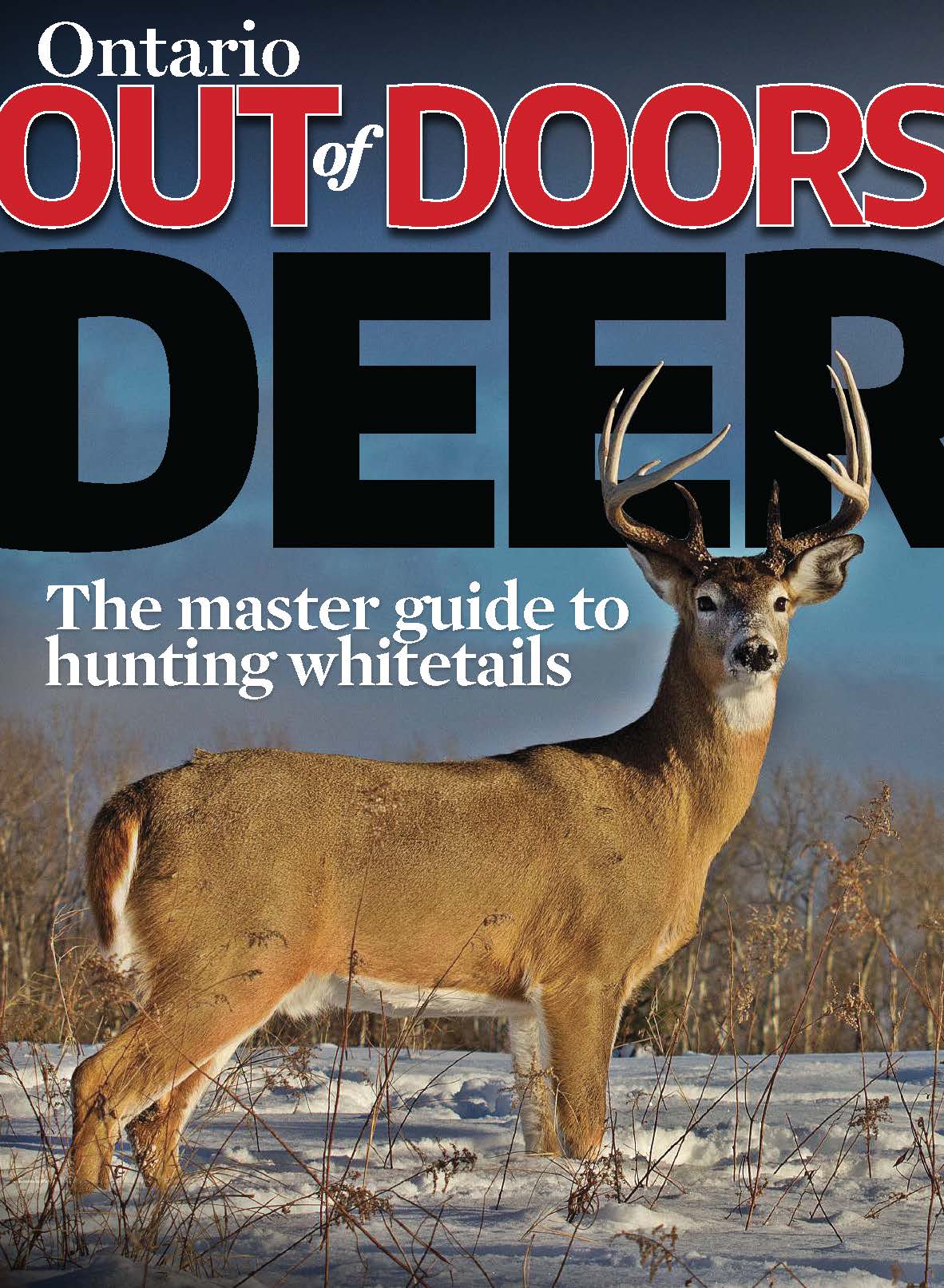 Deer Special Cover