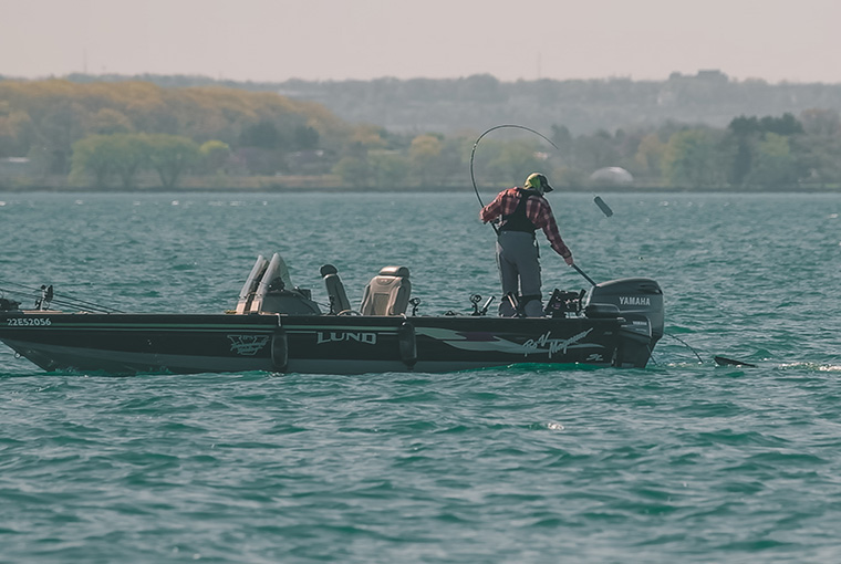 Great Lakes Water Quality Check