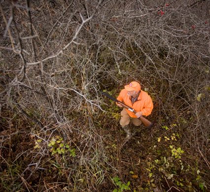 Hunting Small Game