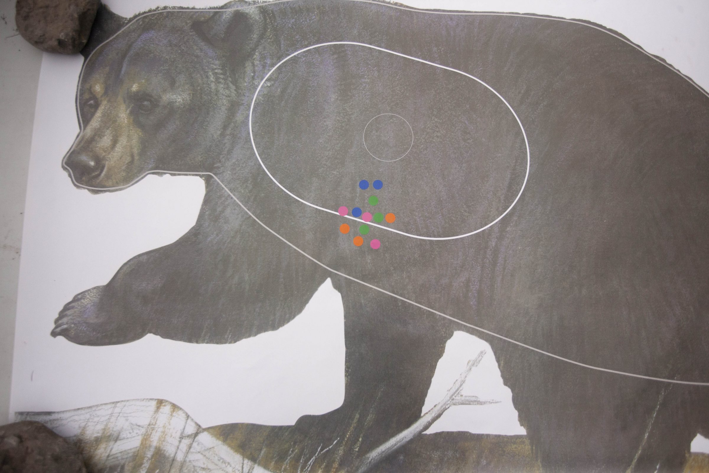 Bowhunting Bear Shooting Board