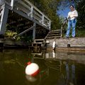 Woman Fishing On Dock