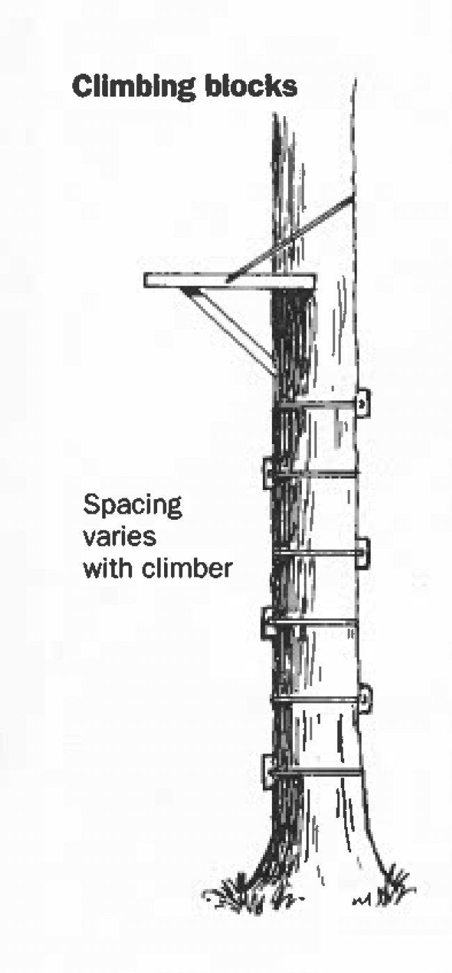 climbing blocks diagram