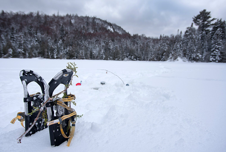 Snowshoes