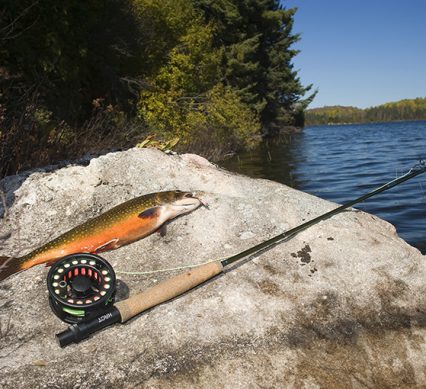 Fish And Rod On Rock