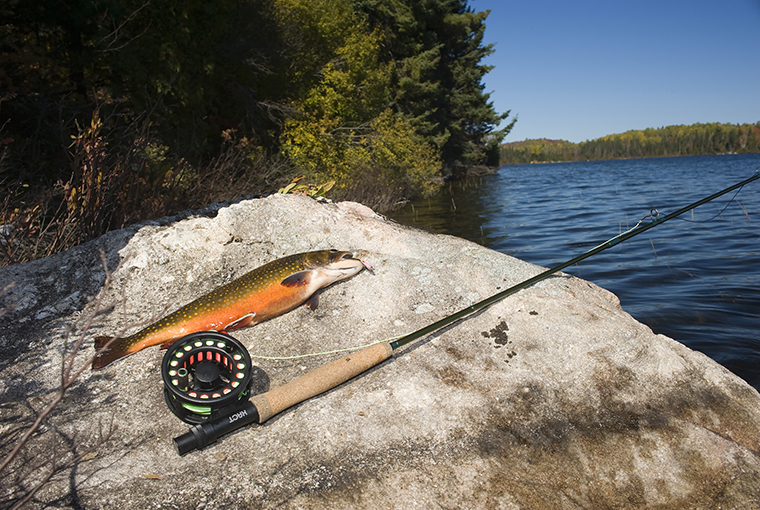 Ensuring your fish tastes great - Ontario OUT of DOORS