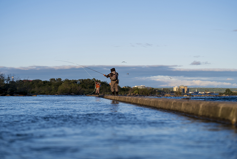 Fly Fishing At The Soo