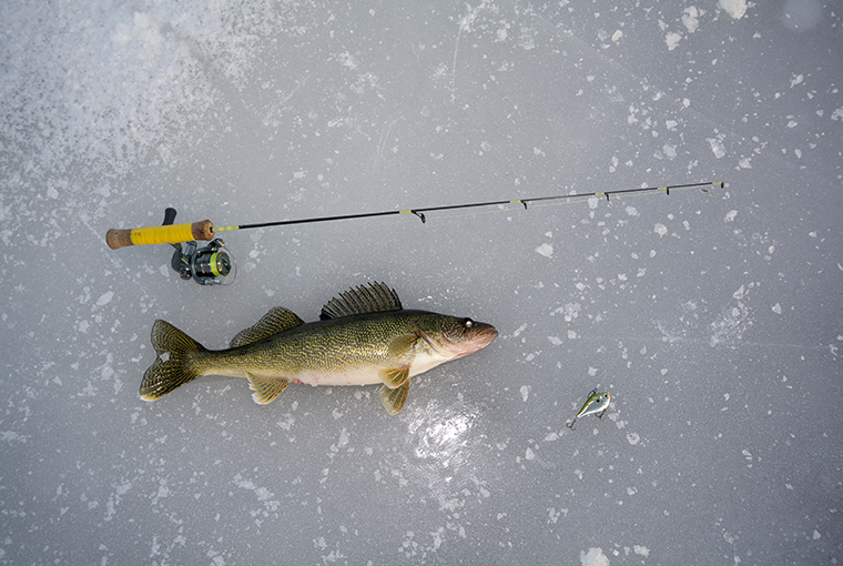 Ice Fishing Rods