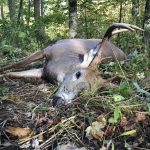 Jessica Dukelow of Sarnia harvested this eight-point buck on Thanksgiving weekend on her own, after taking up hunting three seasons ago without mentorship. She considers harvesting him, by far, the biggest accomplishment of her life, after he weighed in at 181 pounds field dressed.