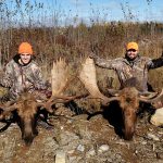 Shayne Kehl of Atikokan and Jason Mattson were hunting with their sons, from left, Andrew Kehl and Cole Mattson, in WMU 11B when they all came upon these two bulls squaring off.